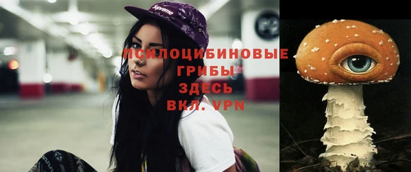 МДПВ Елабуга