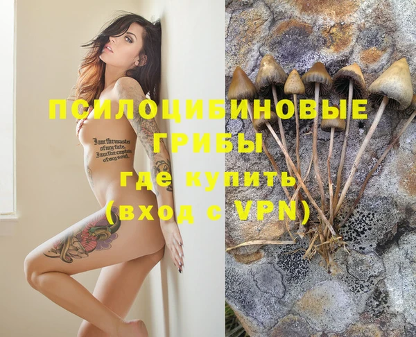 каннабис Ельня