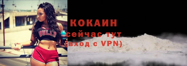МДПВ Елабуга