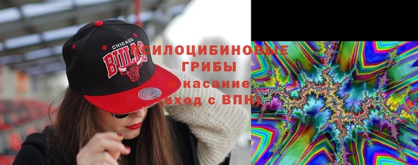 МДПВ Елабуга