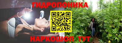 сатива Камышлов