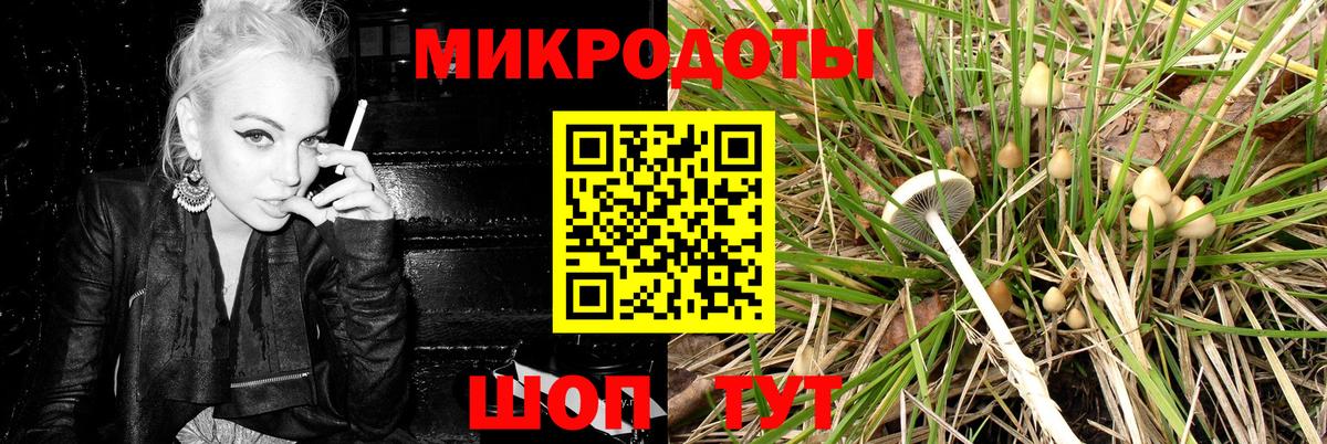 Псилоцибиновые грибы Psilocybe  Вход с VPN  Похвистнево  Галлюциногенные грибы Magic Shrooms 